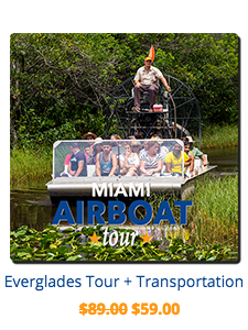 miami-double-decker-everglades-sightseeing-tour.png